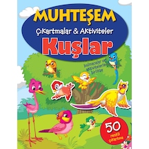 Muhteşem Çıkartmalar Ve Aktiviteler - Kuşlar - Qhdh-817426