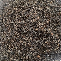 Nijer Tohumu 120 Gr Kuşlar için Nijer Tohum Yemi Kızıştırıcı Yem