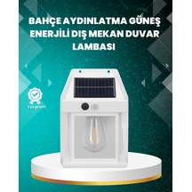 Çok Renkli