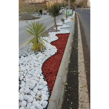 Beyaz Dolomit Taş 2 kg 4-6 cm Bahçe Taşı Dekoratif Taş Dere Taşı