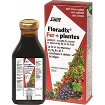 Floradix Sıvı Takviye Edici Gıda 250 ML