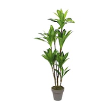 Yapay Drasena Ağacı 200 cm