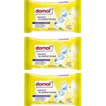 Rossmann 3'Lü Domol Islak Temizlik Bezi Çok Amaçlı, Limon Kokulu 50 Adet