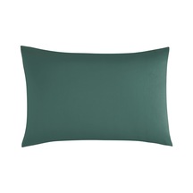 Petrol