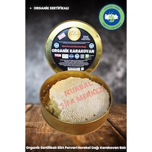 Nurbal Şifa Merkezi Organik Karakovan Petek Balı 1250 G