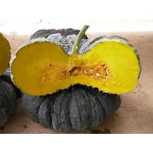 Siyah Bal Kabağı 5 Adet Tohum