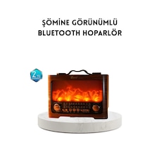 Hubrendy Tekno Şömine Efektli Solar Hoparlör Bluetooth 5.3 Radyo Aux Usb Tf Destekli