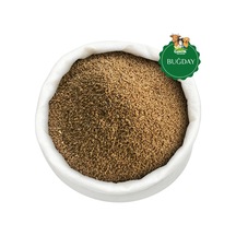 Tane Buğday 10 Kg Güvercin Ve Kümes Hayvanlarına Özel Yem