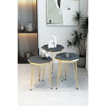 3'lü Sekizgen Zigon Sehpa Seti - Gold Metal Ayaklı, Modern & Şık Yan Sehpa, Dayanıklı Salon Ofis Antrasit