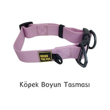 Interlaken Su Geçirmez Sağlam D Halkalı Pembe Köpek Boyun Tasması Pembe M Pembe