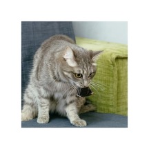 Hareketli Fare Şeklinde Eğlenceli Kedi Oyuncağı, Dayanıklı Peluş