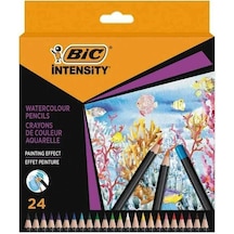Bic Intensty Kuru Sulu Boya 24 Lü 511727 Standart