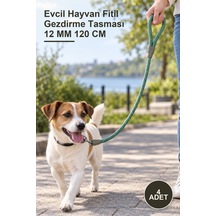 4 Adet Evcil Hayvan Fitil Gezdirme Tasması 12 Mm 120 Cm Metal