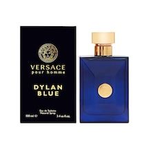 Dylan Blue Edt Erkek Parfümü 100 Ml Amber