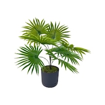 Yapay Salon Bitkisi Fan Palmiye 50 40cm 8yaprak Plastik Antrasit Saksıda Yeşil
