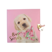 Dolphin Hatıra Defteri Studıo Pets Kilitli Pt-7790 Çok Renkli