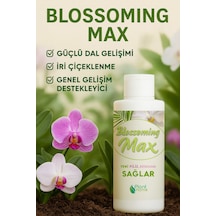 Blossomingmax - Orkideler İçin Dal Ve Çiçek Destekleyici Premium Besin 100 Ml Diğer