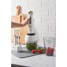 Homend Handmaid 1960h Blender Set