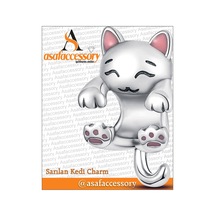 Sarılan Kedi Charm Gümüş Kaplama Asafaccessory