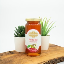 Köyceğiz Balı Sandal Balı Cam Kavanoz 330 G