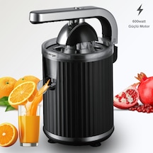 Rowenger D-8037F 600 W Elektrikli Meyve Sıkacağı