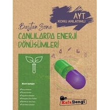 Kafadengi Ayt Baştan Sona Canlılarda Enerji Dönüşümleri Yeni 2022 N11.34116