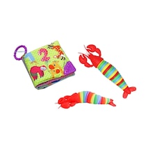 Sök Tak Işıklı Istakoz + Hışırtılı İlk Kitabım