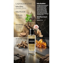 Ladiagos U705 Unisex Parfüm Aromatik - Odunsu
