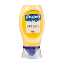 Hellmann's Hardal 12x250 G - Kahverengi Ve Sarı Hardal Tohumları 2'li Ekonomik Paket - 2 Adet Tarı