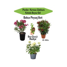Bahçe Seti 1 Adet Kırmızı 1 Adet Pembe Zakkum+ 1 Adet Beyaz Gül + Hediye Buz Çiçeği