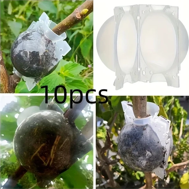 Chuangyinshop 10 Adet Bitki Aşılama Kutusu, Yüksek Basınçlı Köklendirme Ve Aşılama Propagatörü