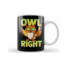 Funny Owl Right Thumbs Up Hippie Cute Alright Pun Kupa Bardak Porselen Karışık