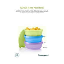 Tupperware Şeker Üçlü 300 Ml 3' Lü Yeni Renkler Renksiz
