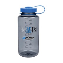 Wh Sustain Happy Gene İçecek Şişesi, Gri, 1 L