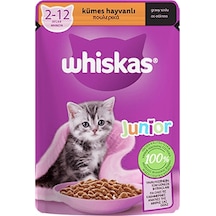 Whiskas Pouch Yavru Kümes Hayvanlı Yavru Kedi Maması 85 G