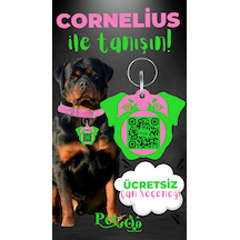 Petjoo 20.Cornelius Yeşil-Pembe Qr'lı Köpek Künyesi