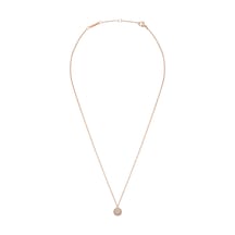 Daniel Wellington Dw00400625 Kadın Kolye Diğer
