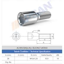 Alyan Başlıklı Bijon Civatası M12x1,25