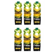 Cappy Ananslı İçecek 1 Lt X 6 Adet