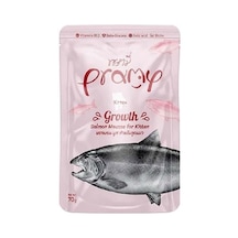 2As Yavru Kediler İçin Somonlu Mousse, 70 Gram Tekli Paket 12 Gri