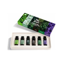 Saf 6'li Uçucu Yağ Seti - Özel Seçki Buhurdanlık Ve Difüzör Kokusu 6 X 10 Ml Diğer