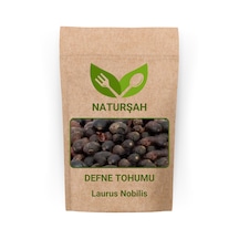 Naturşah Defne Tohumu 250 Gr / Laurus Nobilis