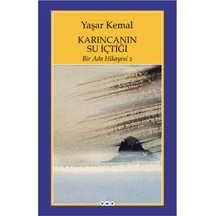 Bir Ada Hikayesi 2 - Karıncanın Su İçtiği - Yqbx-648457