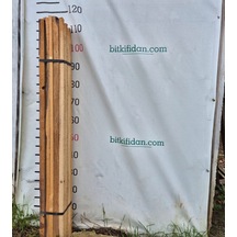 Fidan Dikim Tahtası 100-110 Cm 15 Adet