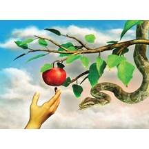 Nova Puzzle 1000 Parça Yasak Elma Puzzle