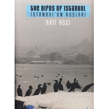 İstanbul'un Kuşları - The Bırds Of Istanbul
