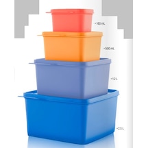 Tupperware Renkli Dikdörtgen Saklama Kabı 4 Lü Set Esc