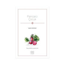 Pancarcı Çocuk - Samed Behrengi - 1001 Çiçek