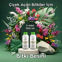 500 ML