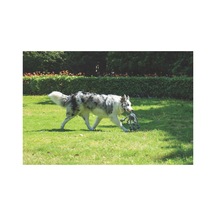 M-pets Coto Grey Cross 60cm Örgü Oyuncak